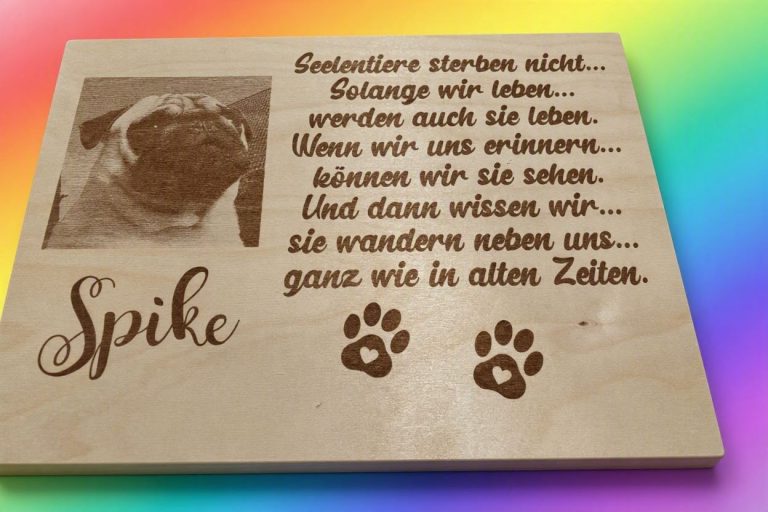 Galeriebild