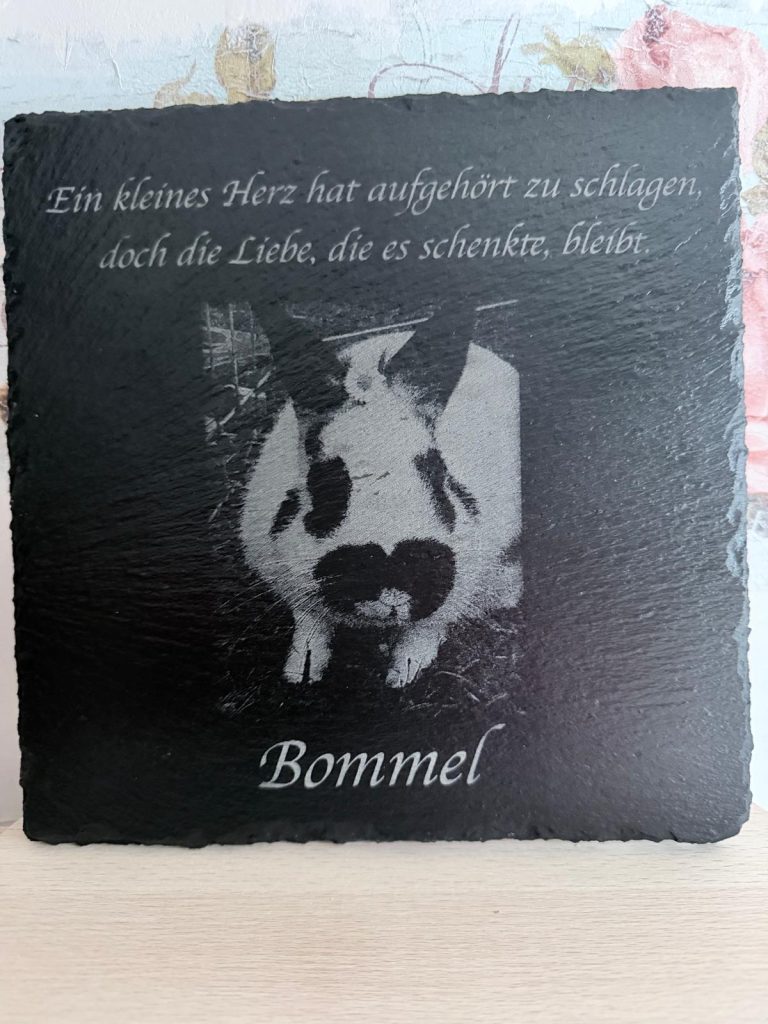 Galeriebild