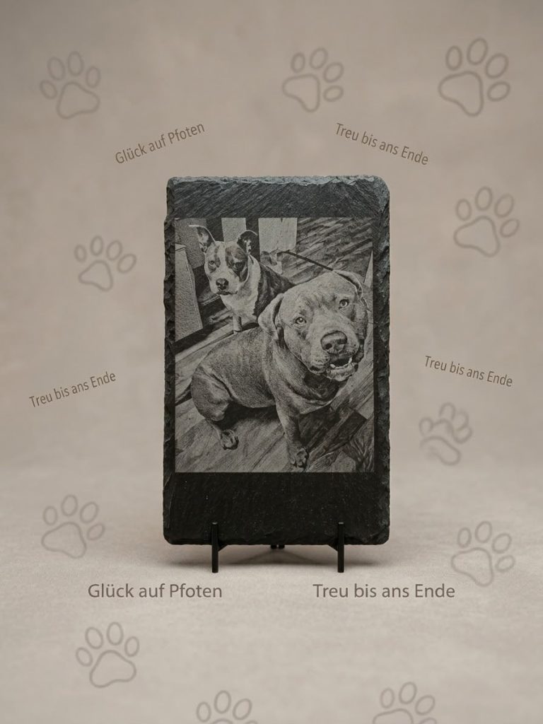 Galeriebild